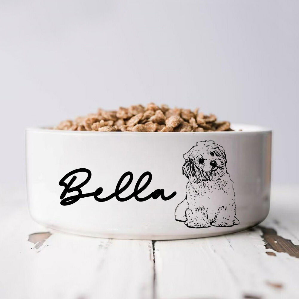 Personalized Pet Bowl With Custom Name And Sketch Photo Warm Gift For Cute Pets