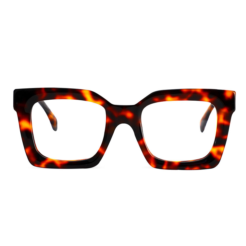 Steward Square Tortoise Glasses