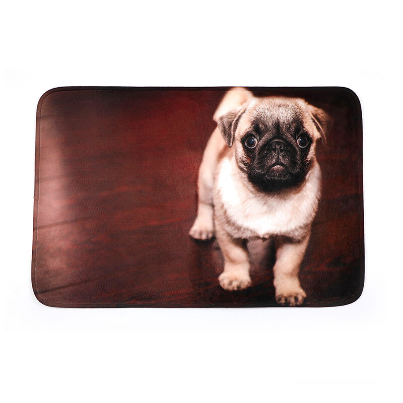 Custom Photo Floor Mats Doormat
