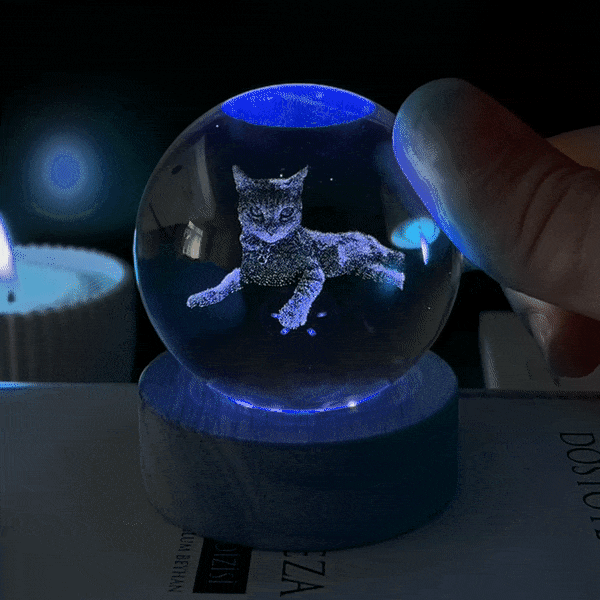Personalized Picture Crystal Ball Night Light Interesting Gift for Your Love
