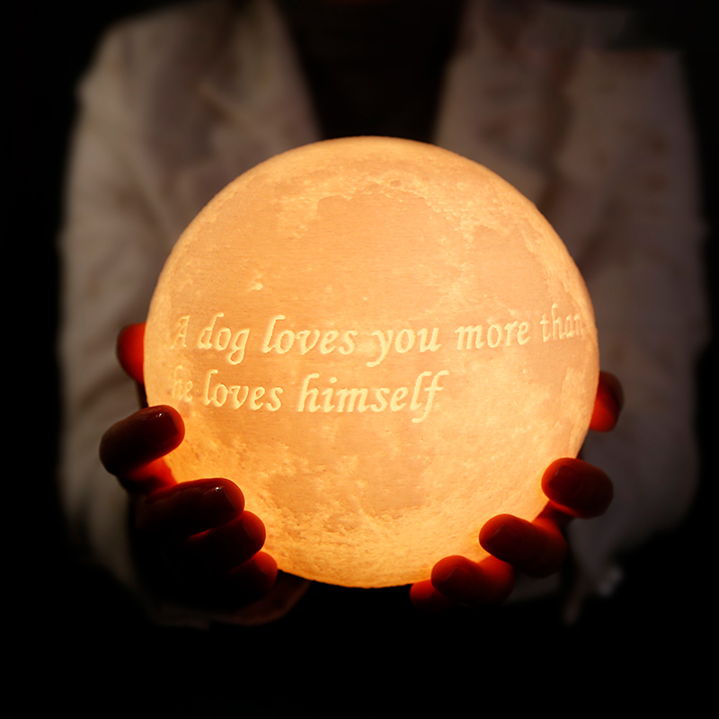 Télécommande 16 Coulours-Lampe Lune Photo, Lampe Photo 3D Personnalisée(10cm-20cm)