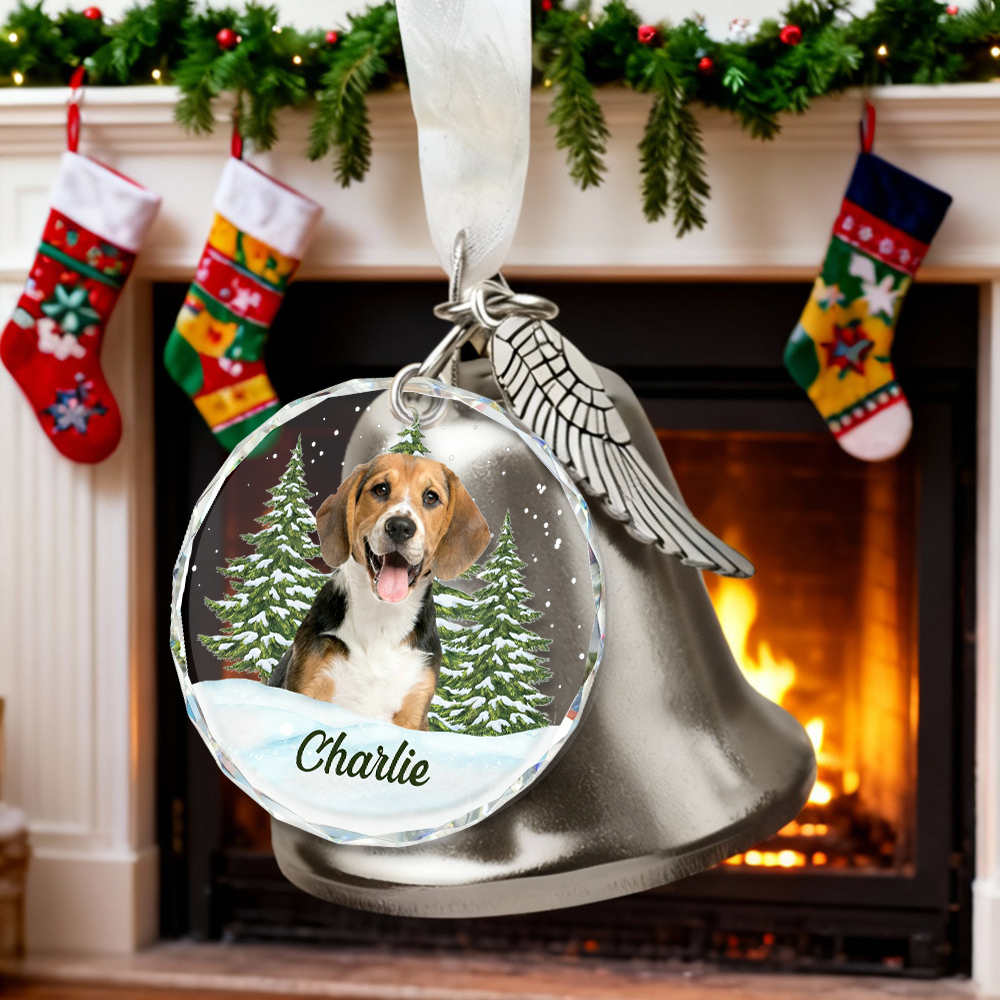 Adorno de campana con imagen personalizada con nombre personalizado, regalo divertido para amantes de las mascotas