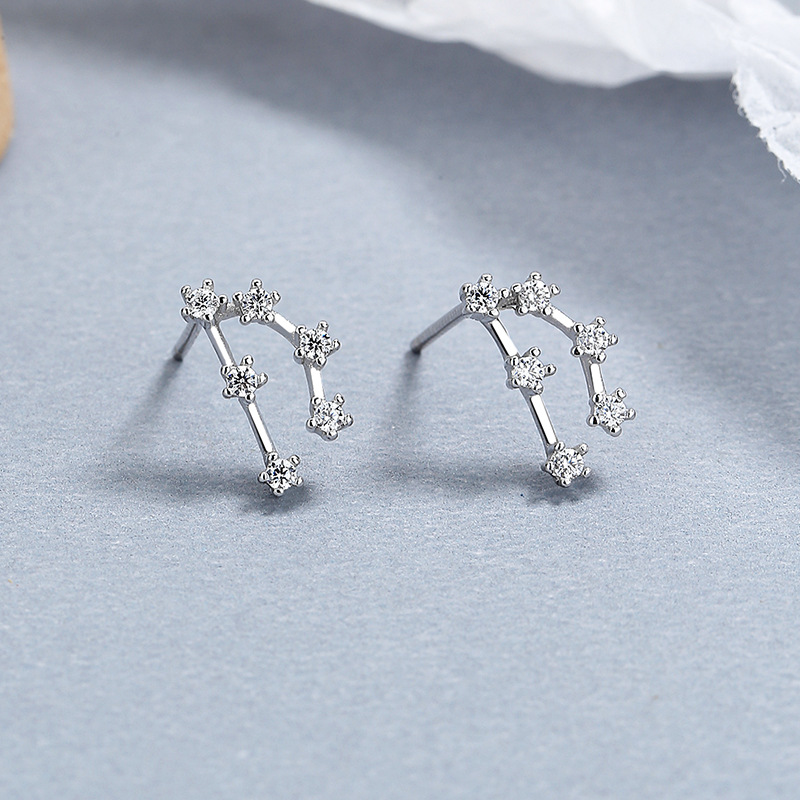 Sterling Silver S925 Celestial Twelve Constellation Earrings Zircon Inlay Birthday Gift for Her