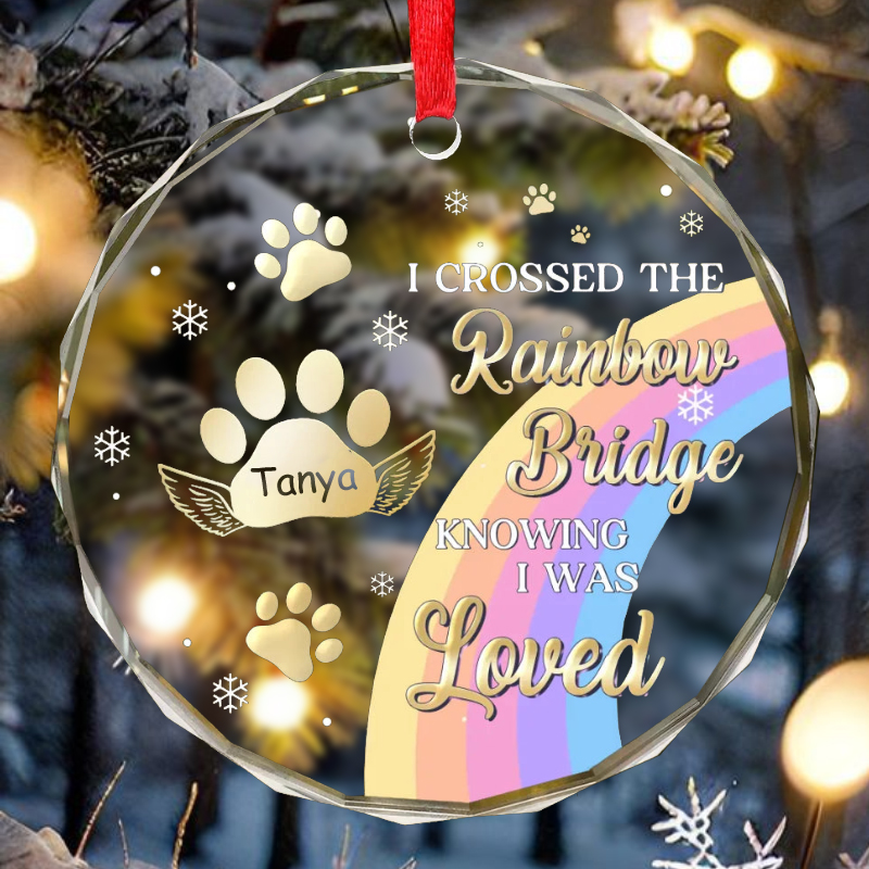 Personalized Round Christmas Ornaments Customized Pet Name Commemorative Gift