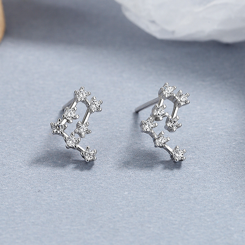 Sterling Silver S925 Celestial Twelve Constellation Earrings Zircon Inlay Birthday Gift for Her