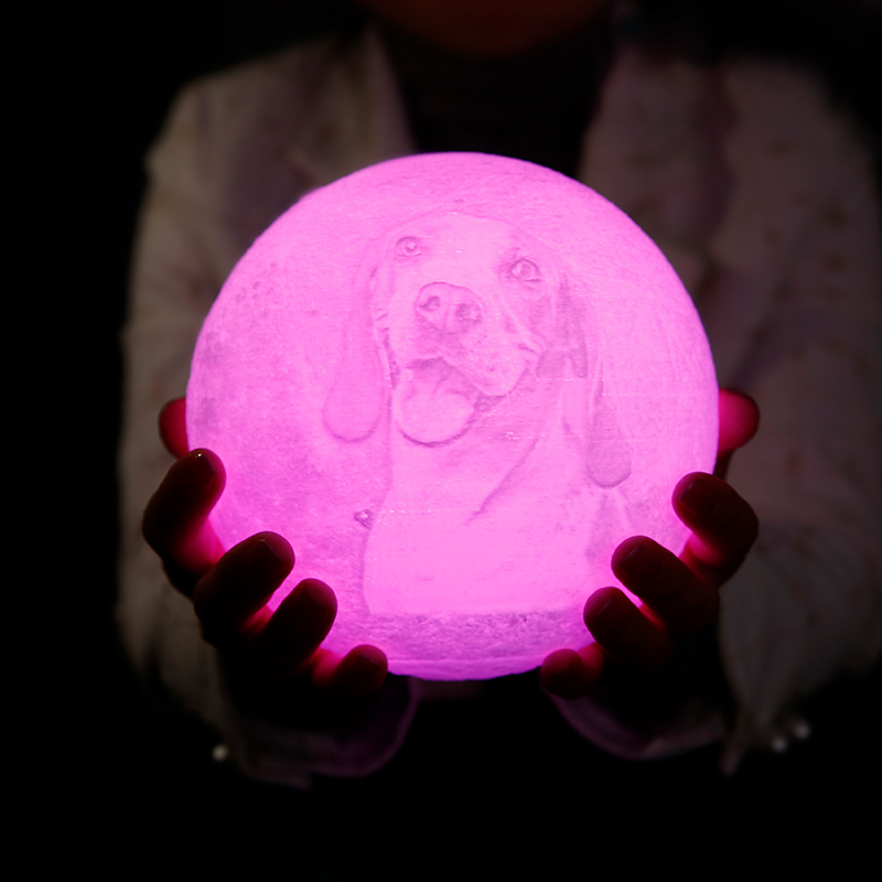 Télécommande 16 Coulours-Lampe Lune Photo, Lampe Photo 3D Personnalisée(10cm-20cm)