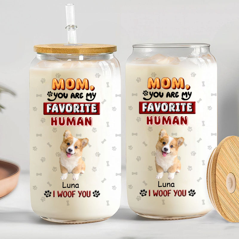 Personalized Picture Glass Cup with Lid And Straw Wonderful Present for Pet Lover