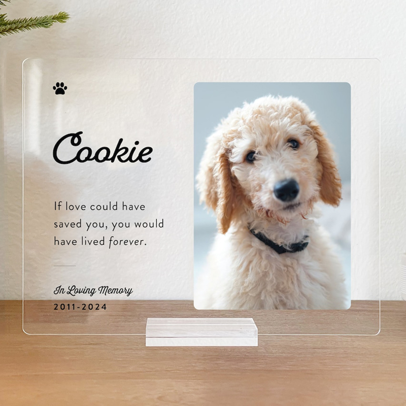Personalized Acrylic Plaque Custom Photo Optional Memorial Quote Sympathy Gift for Pet Lover