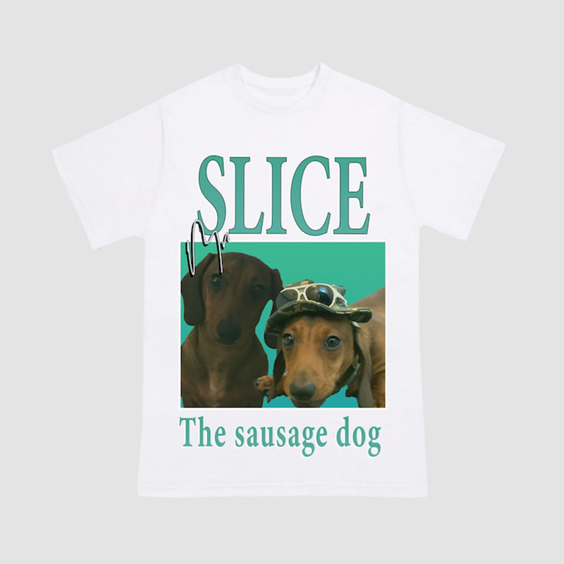 犬 猫 ペット 名入れ 写真入れ Tシャツ オリジナル