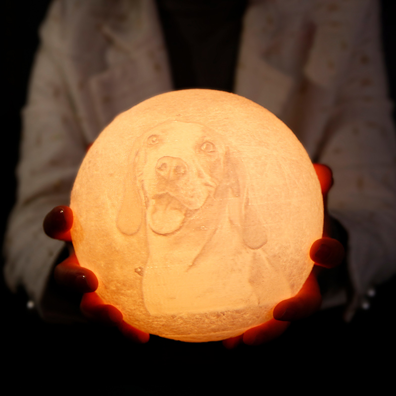 Télécommande 16 Coulours-Lampe Lune Photo, Lampe Photo 3D Personnalisée(10cm-20cm)