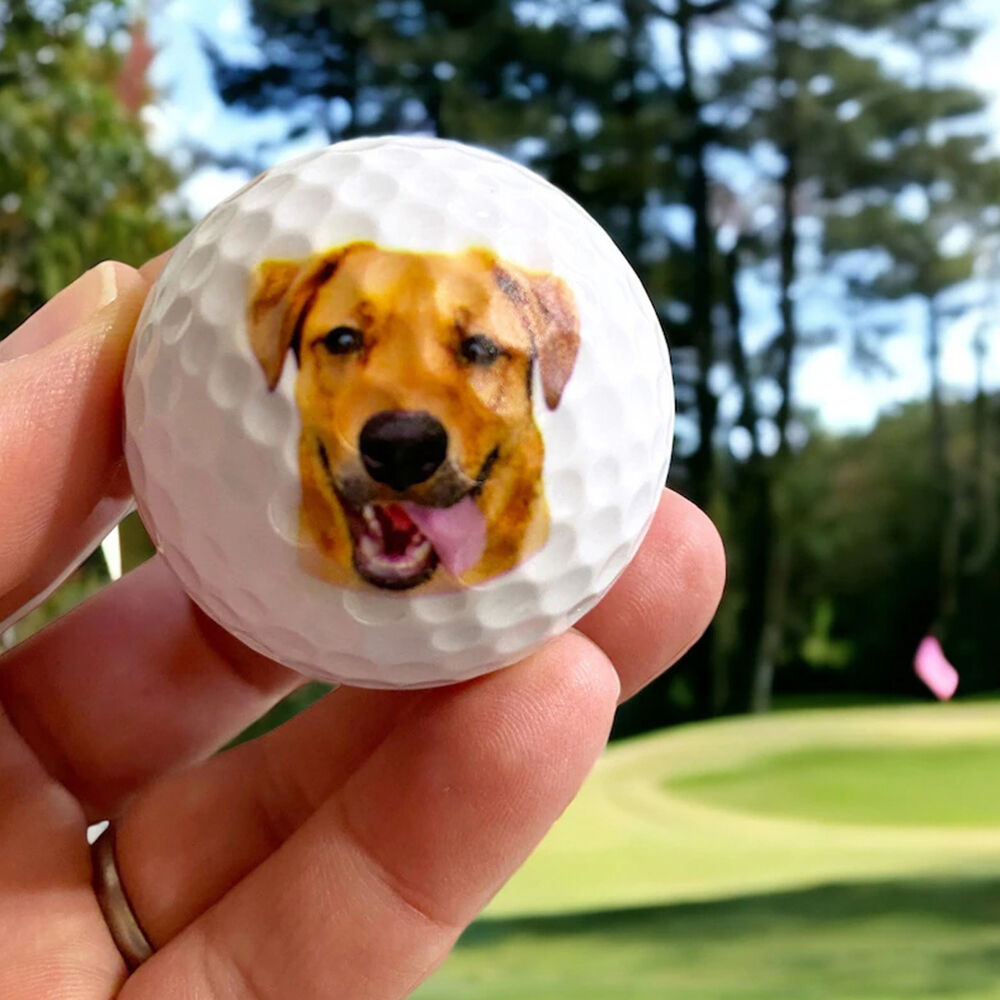 Personalized Golf Balls Set of 3 Custom Pet Photo Desktop Ornaments Gift for Pet Lovers