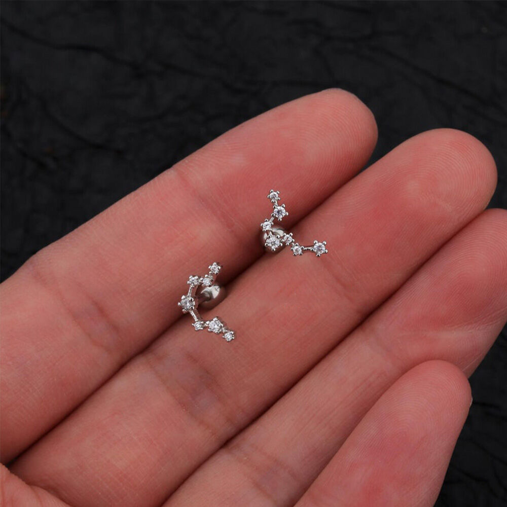 Sterling Silver S925 Celestial Twelve Constellation Earrings Zircon Inlay Birthday Gift for Her