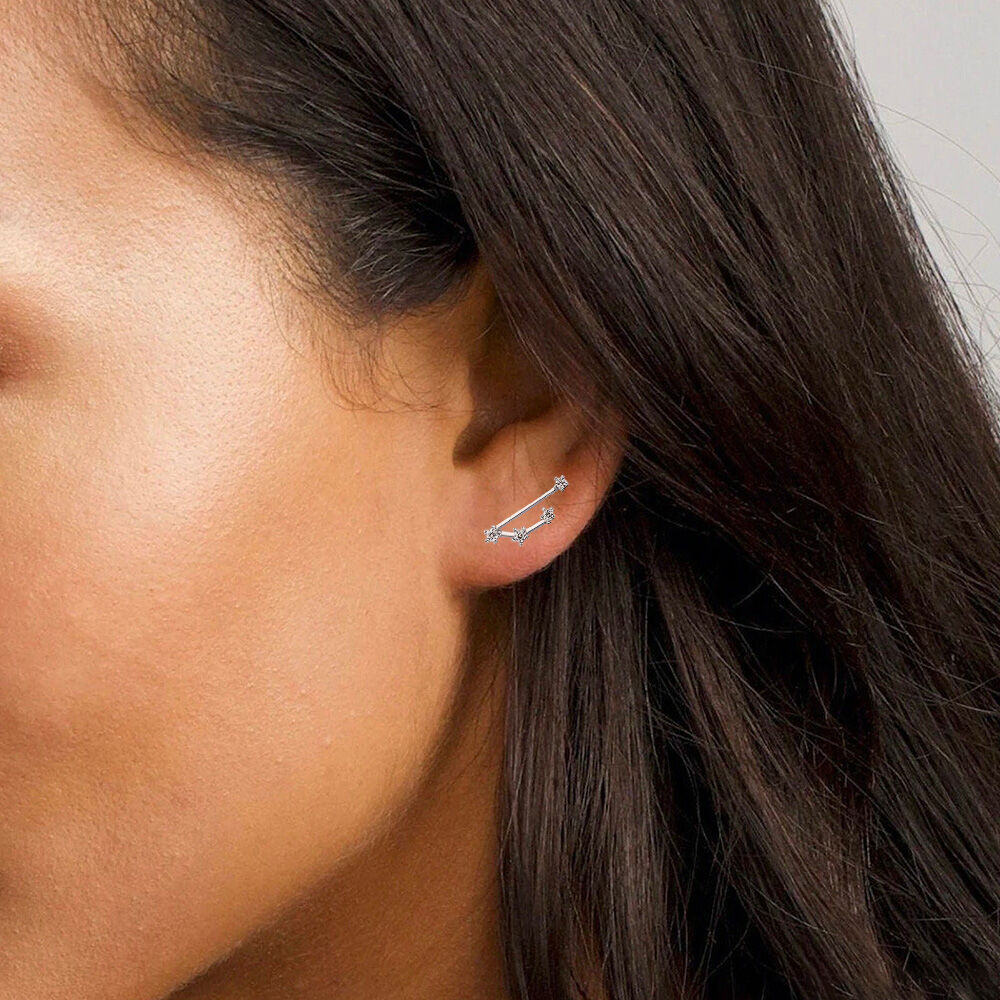 Sterling Silver S925 Celestial Twelve Constellation Earrings Zircon Inlay Birthday Gift for Her