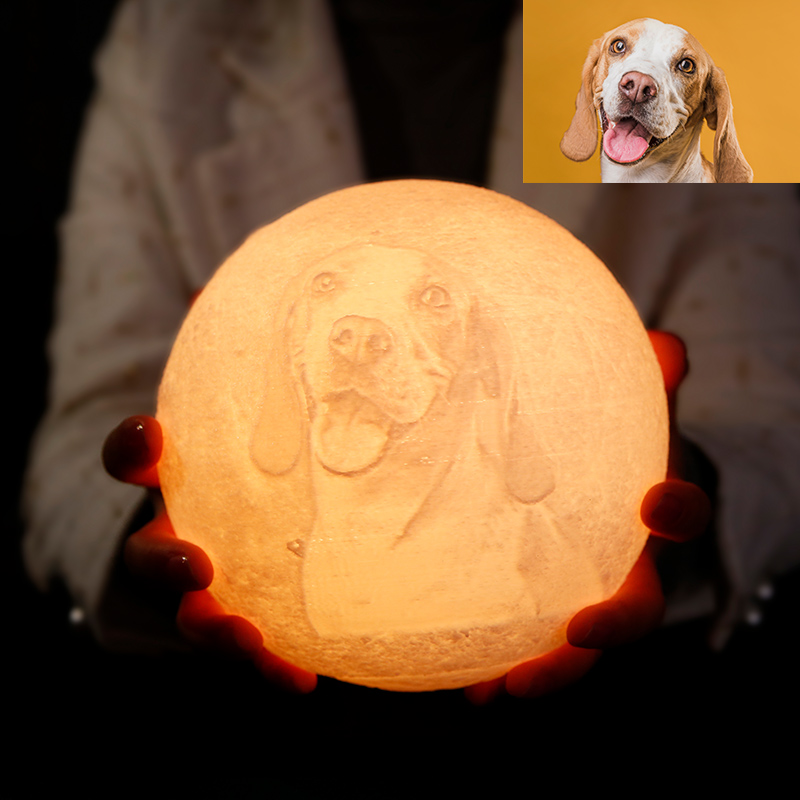 Télécommande 16 Coulours-Lampe Lune Photo, Lampe Photo 3D Personnalisée(10cm-20cm)