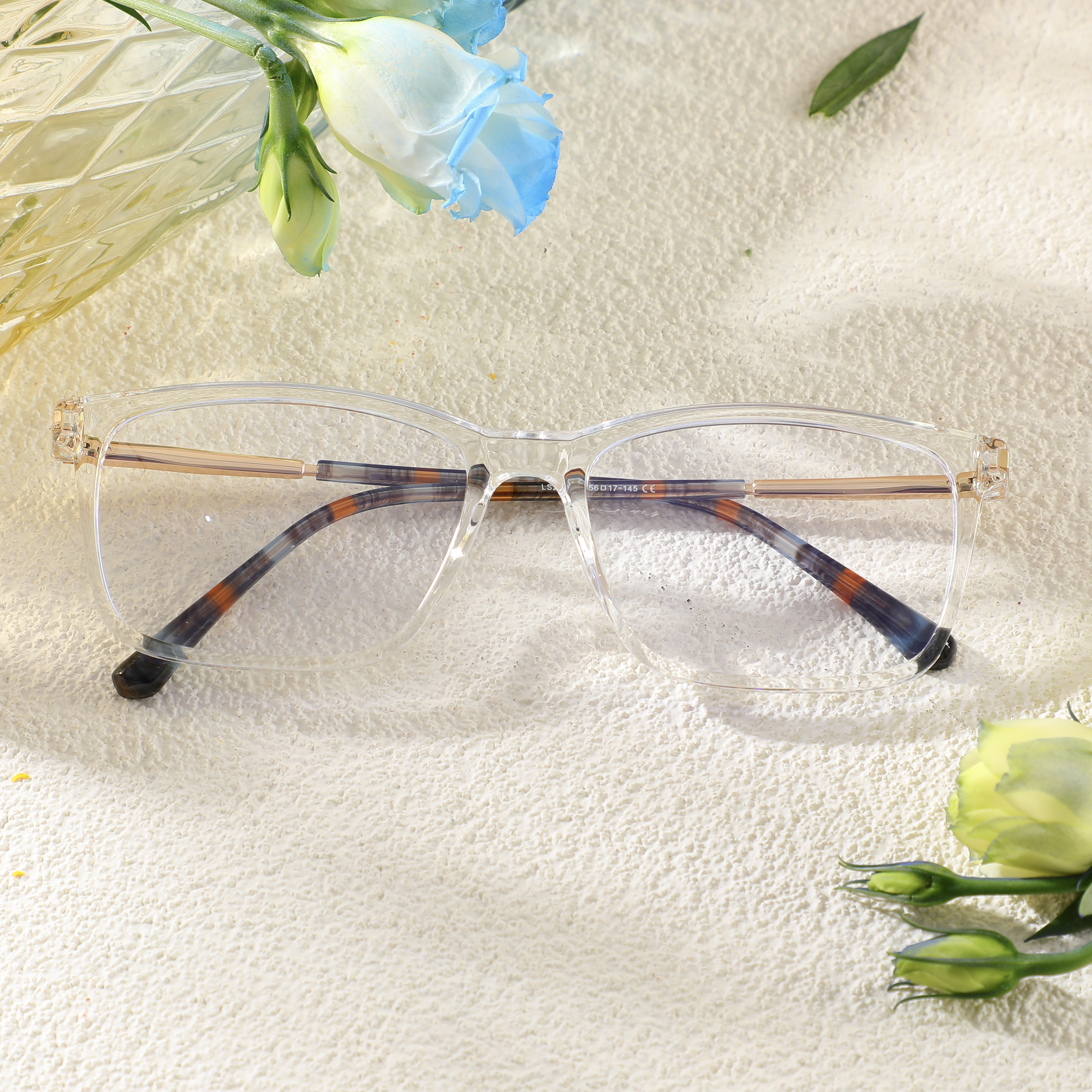 Lunettes de Vue Sapir Rectangle Transparent 