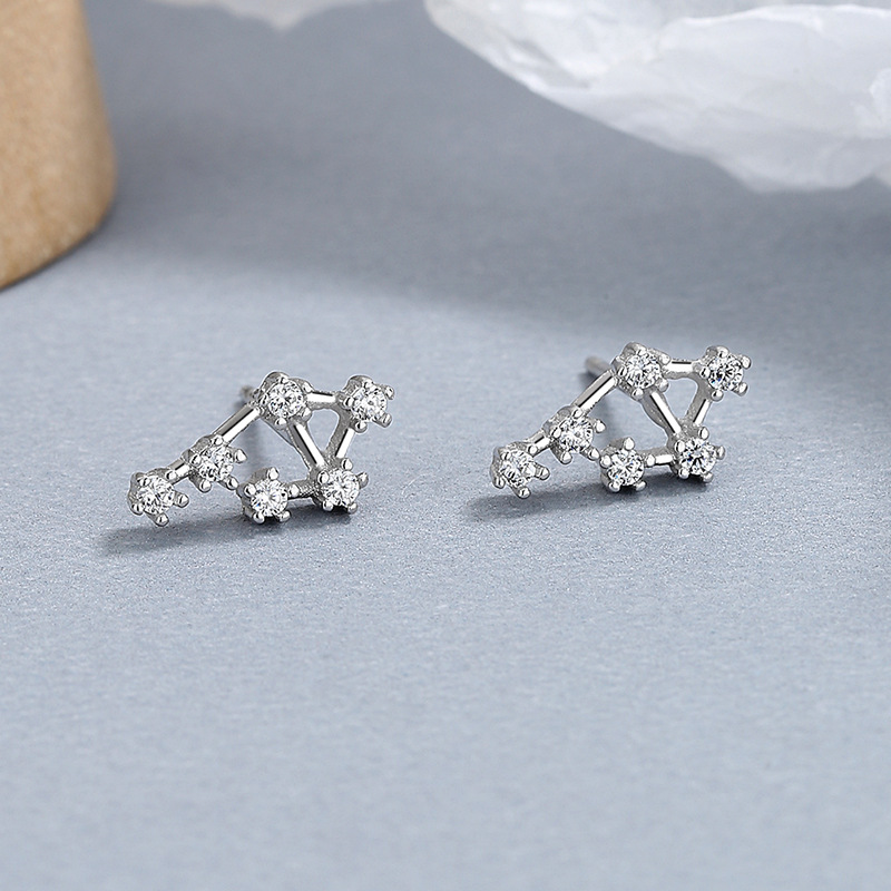 Sterling Silver S925 Celestial Twelve Constellation Earrings Zircon Inlay Birthday Gift for Her