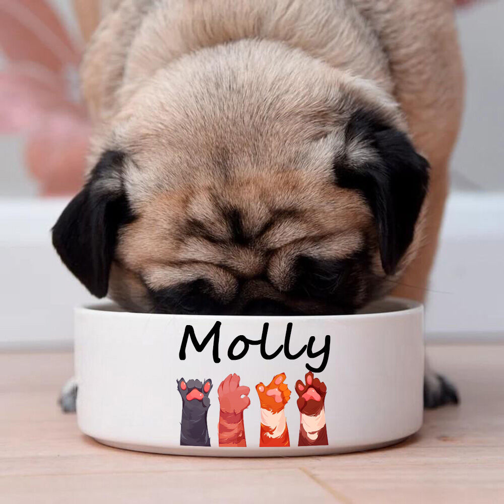 名入れ 足形 写真 犬&猫 ペット フード ボウル 食器 オリジナル