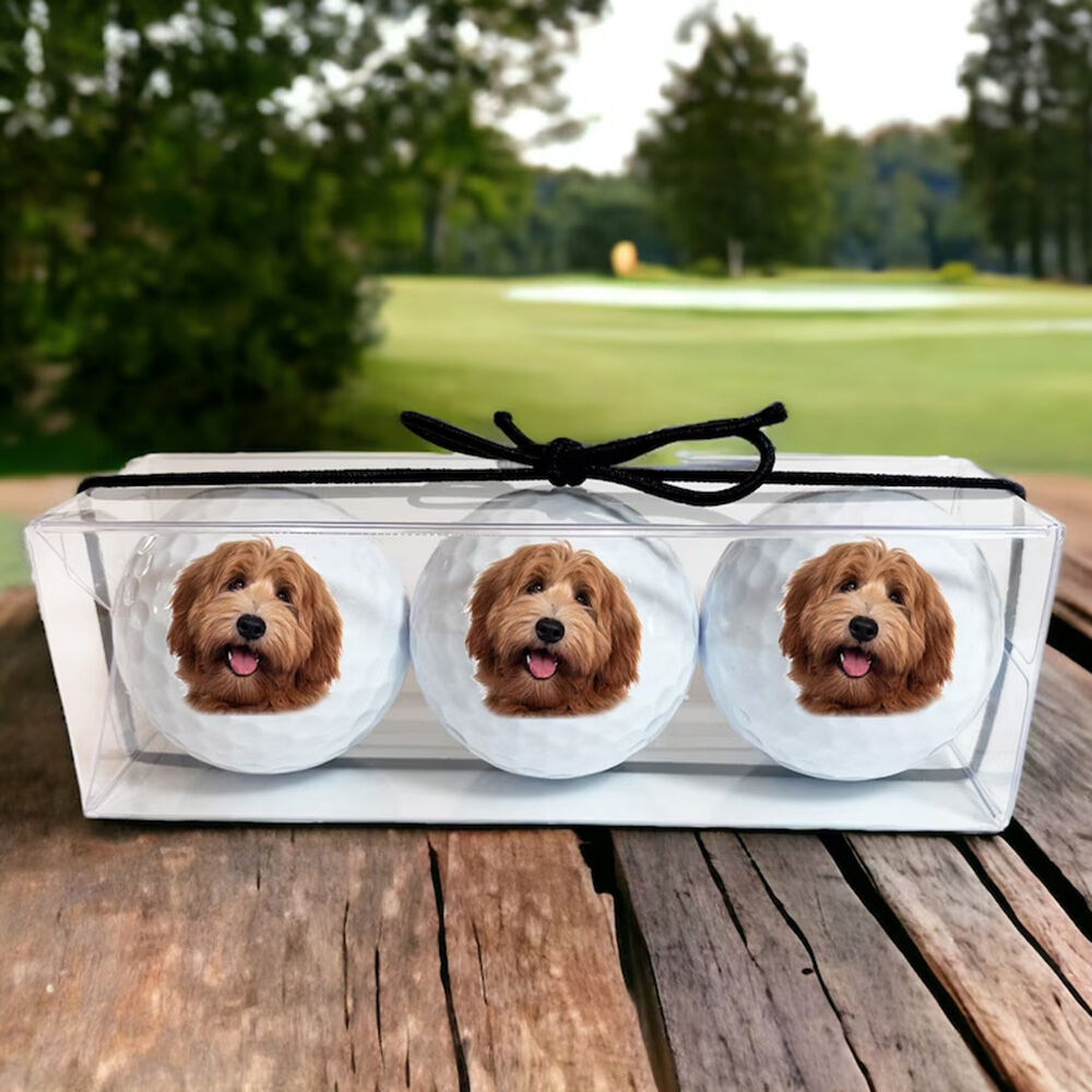 Personalized Golf Balls Set of 3 Custom Pet Photo Desktop Ornaments Gift for Pet Lovers