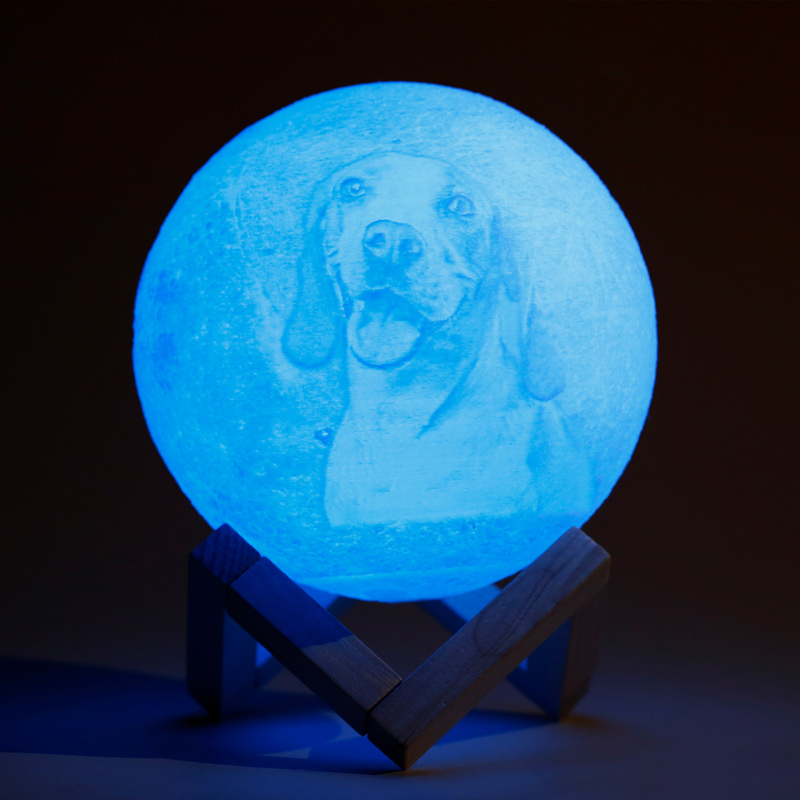 Télécommande 16 Coulours-Lampe Lune Photo, Lampe Photo 3D Personnalisée(10cm-20cm)