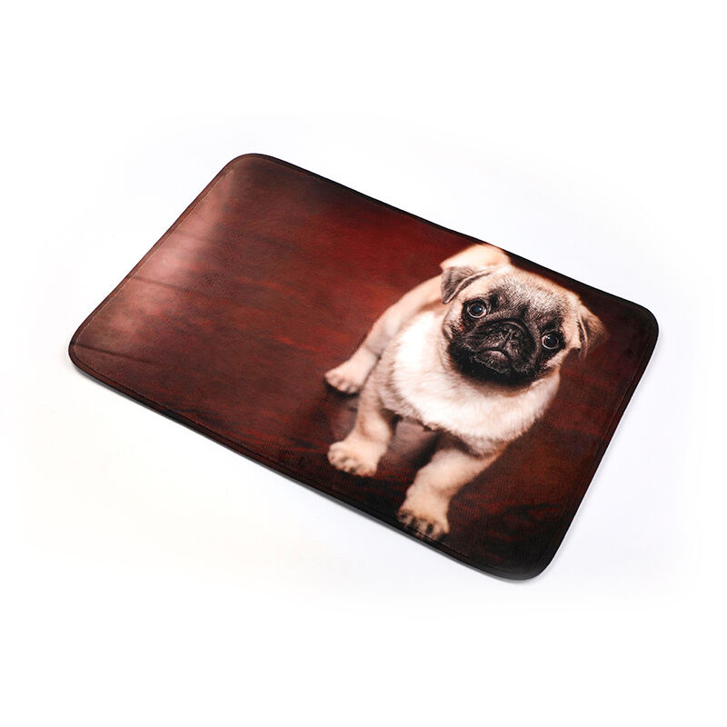 Custom Photo Floor Mats Doormat