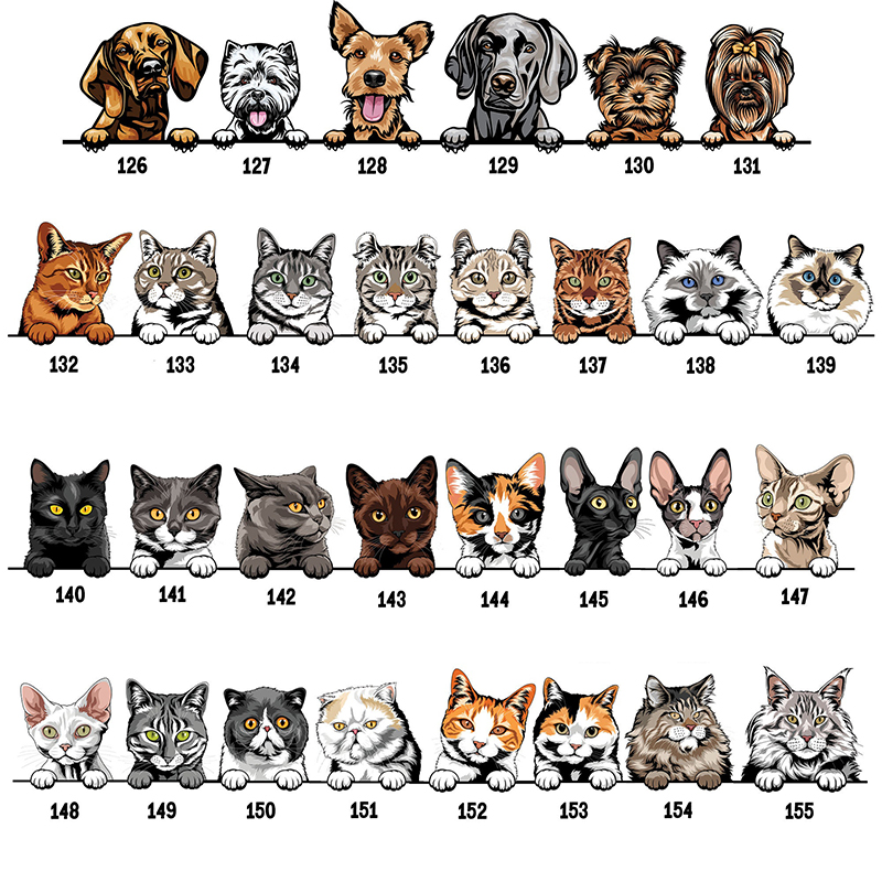 Mono de bebé personalizado Nuevo mejor amigo Mascotas opcionales Atractivo regalo de baby shower para amantes de las mascotas