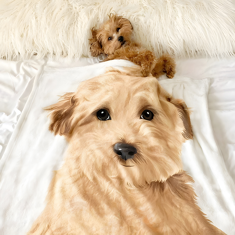 Personalized Picture Blanket Warm And Precious Gift for Pet Lover