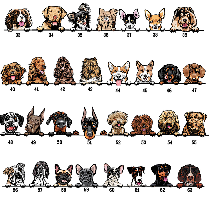 Mono de bebé personalizado Nuevo mejor amigo Mascotas opcionales Atractivo regalo de baby shower para amantes de las mascotas