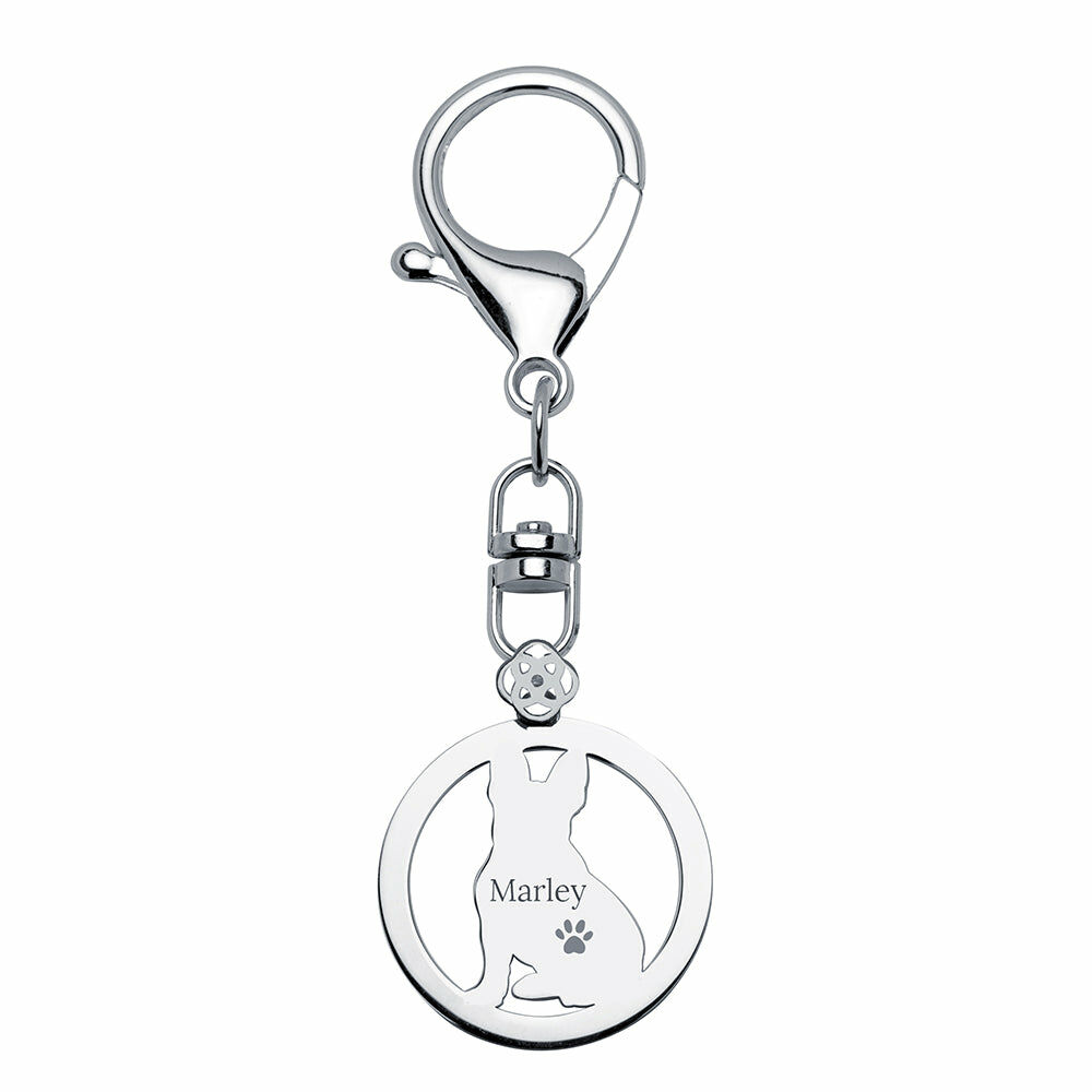 ペット 犬 猫 名入れ 写真入れ キーホルダー